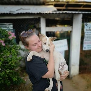 Meet your Posher, Harriet